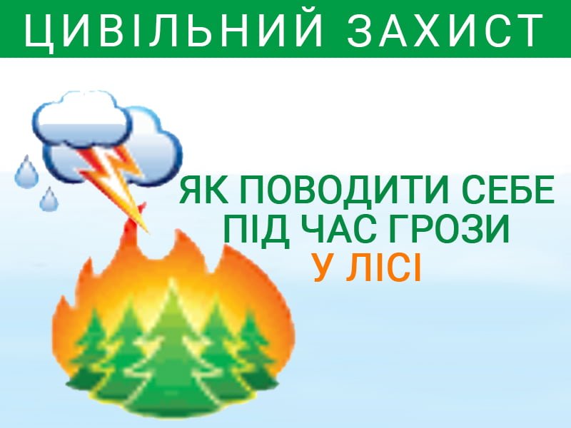 Як поводити себе під час грози у лісі
