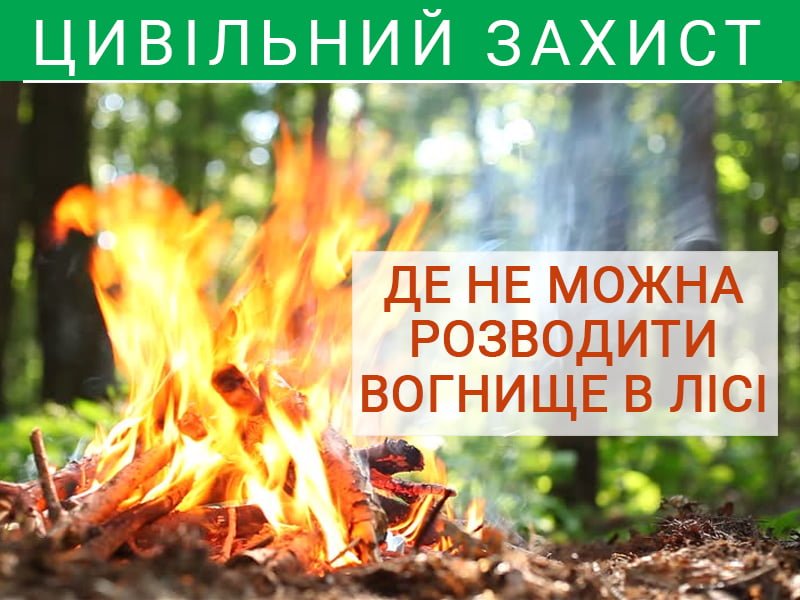 Де не можна розводити вогнище в лісі