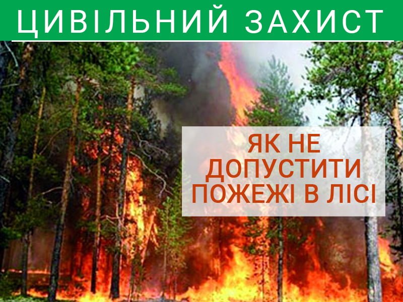 Як не допустити пожежі в лісі