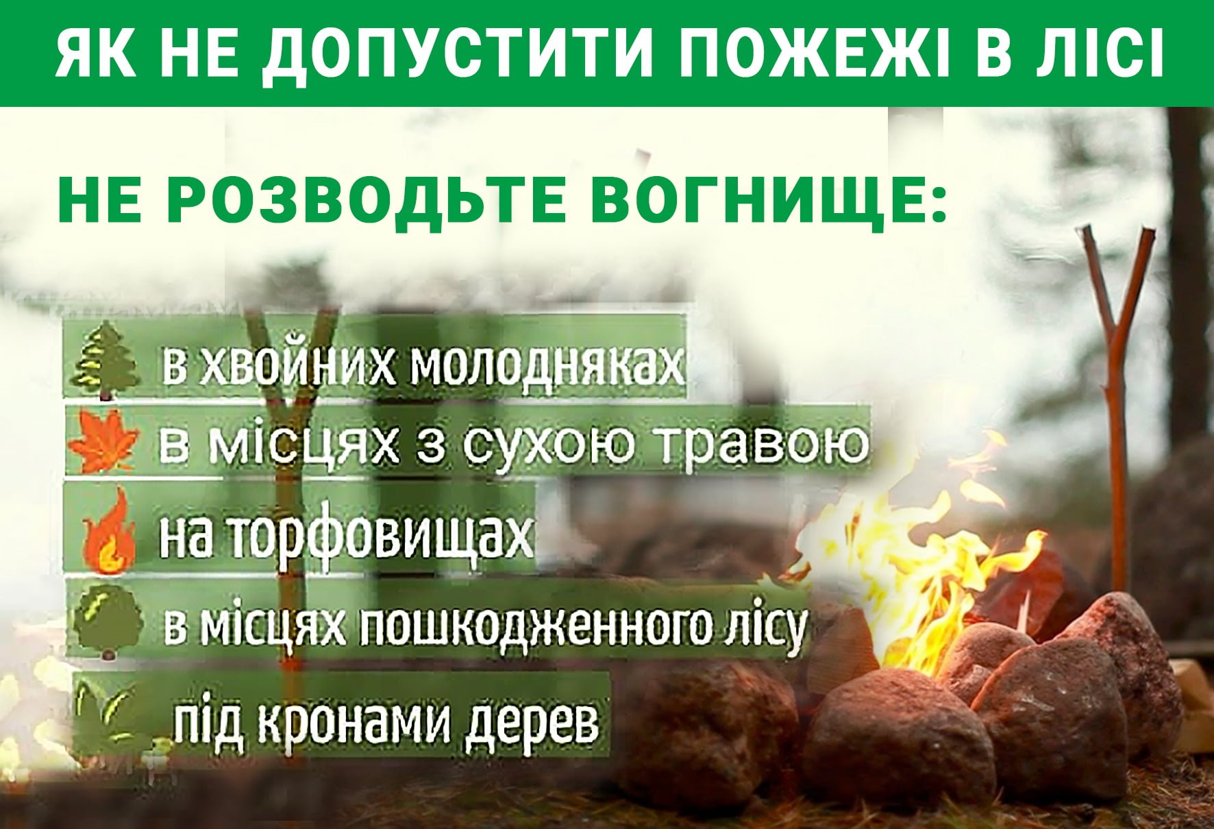 Де не можна розводити вогнище в лісі